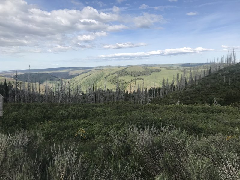 The trailhead provides nice views of the South Hills