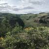 One of the several canyons you cross as you make your way along the Rim View Trail