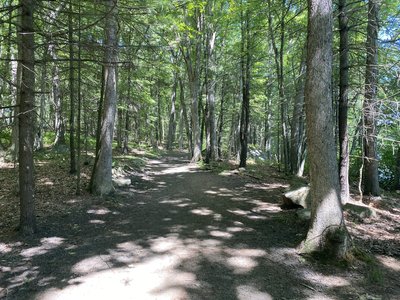 Scoville Reservoir Trail Hiking Trail, Wolcott, Connecticut