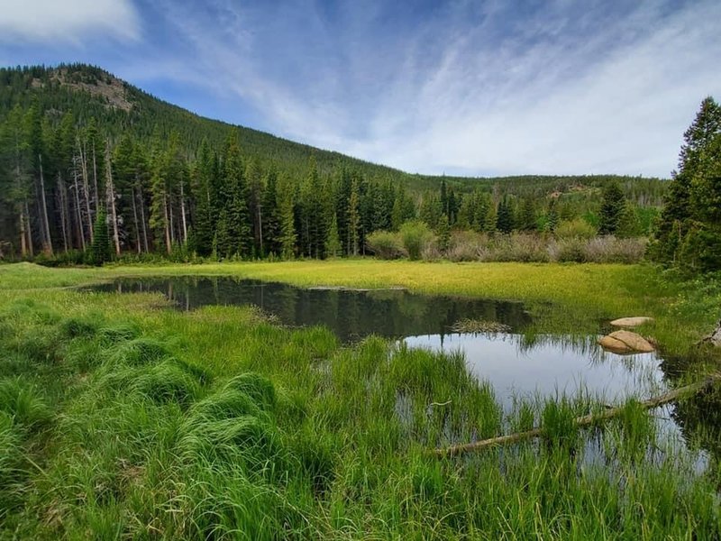 Small pond on the Wild River Trail.