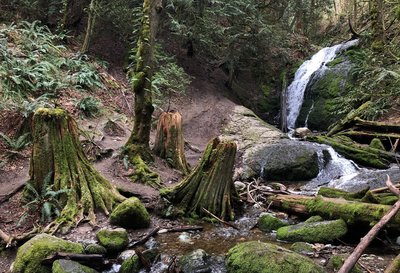 Falls on Cougar Mountain.