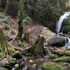 Falls on Cougar Mountain.