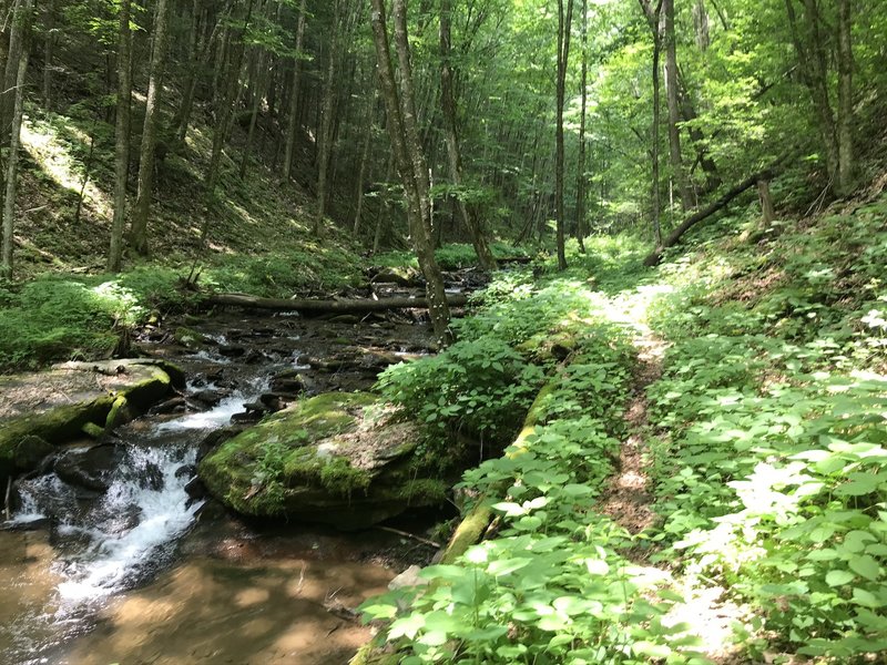 Moving Westbound, away from Laurel Fork.