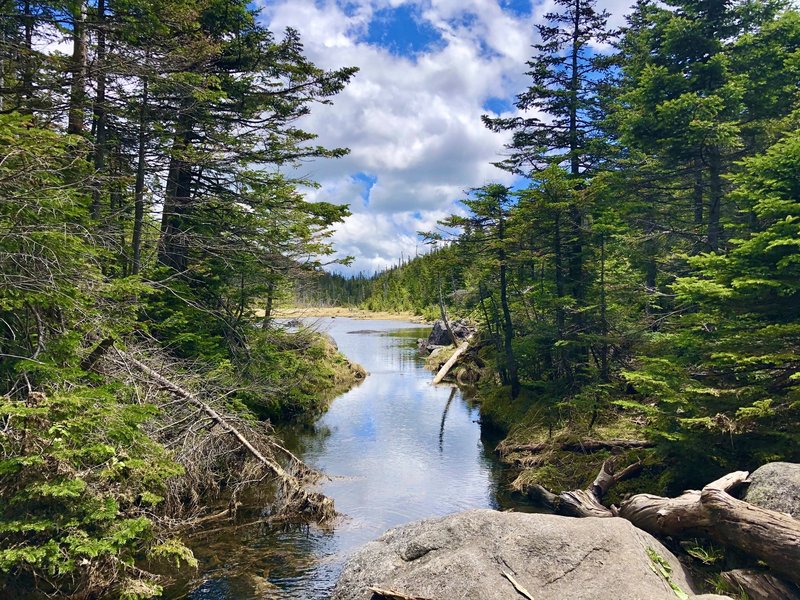 Lake Tear of the Clouds.