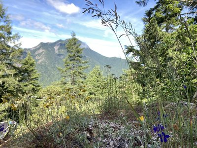 Second summit