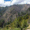 Most of the eastern flank of Deadwood Ridge was burnt a few years ago.