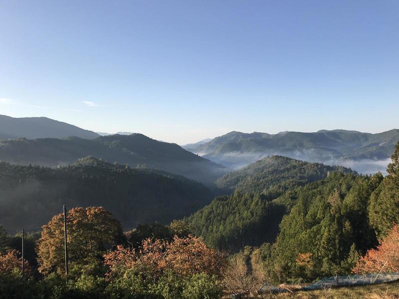 First viewpoint on the trail.