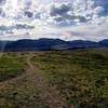 Looking west from the top of Pattridge Open Space park.