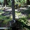 Water fountain on the trail.