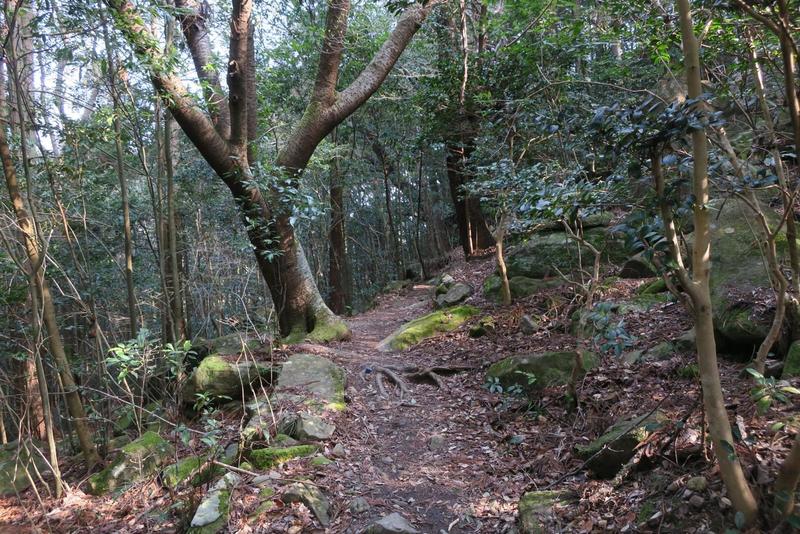 Rustic trail twisting up the hill.