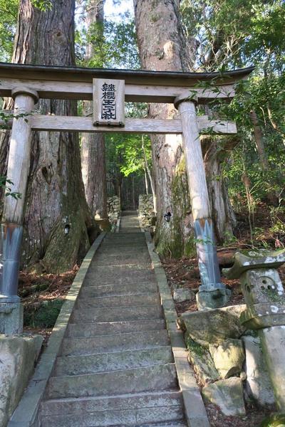 Stairs heading up through the gateway.