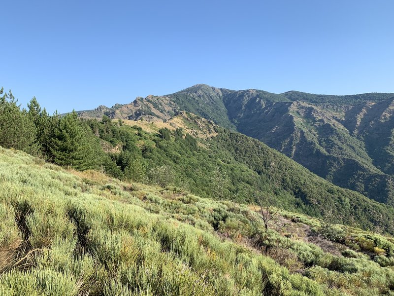 On the way to the Mont Aigoual.