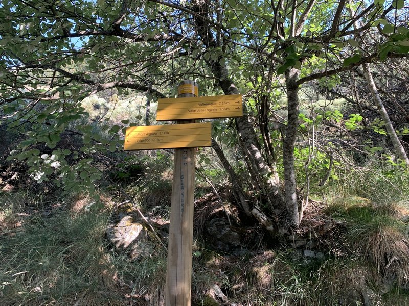 On the way to the Mont Aigoual - the signs.