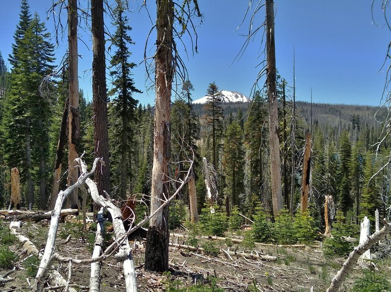 Lassen Peak is seen in the distance to the west, just before dropping down to Rainbow Lake on Rainbow Lake Trail.