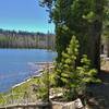 Rainbow Lake to Nobles Trail runs through the pine forest, next to the northwest shoreline of beautiful gem-like Rainbow Lake.