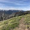 Descending off the ridge, into E. Dam Creek Trail.