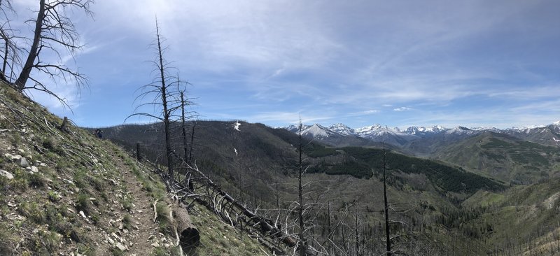 Dead trees. Pretty mountains. Clear trails in June (surprising).