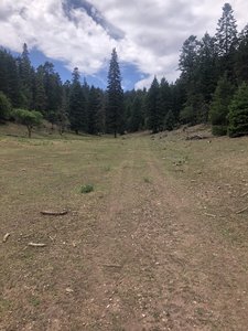 Zinker Canyon Trail T5660