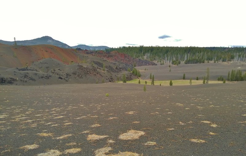 Looking across the volcanic sand, the Painted Dunes are on the left. The green area is a tiny seasonal wet area due to recent snow melt.  Mt. Hoffman, 7,833 ft., is on the left behind the Painted Dunes.