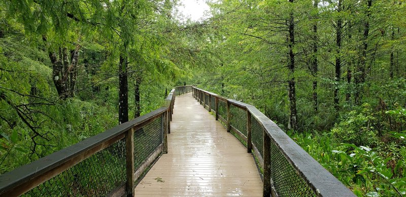 A small portion of the trail is boardwalk.