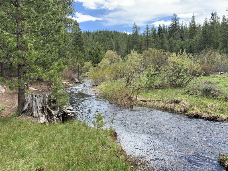 Sagehen Creek. Photo taken just after the trailhead.