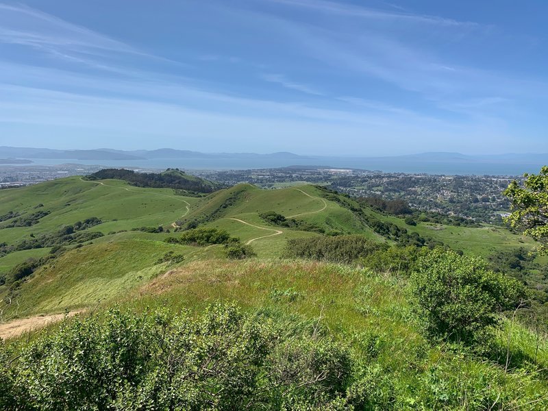 Looking northwest along the San Pablo Ridge Trail.