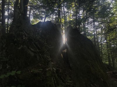 Sunlight through a rock crag.