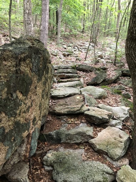 Many well made stone sections in this trail, very well done and easy to navigate