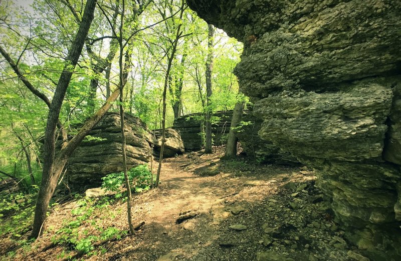 Large limestone bluffs on the backside of the Bethany Falls Trail Loop