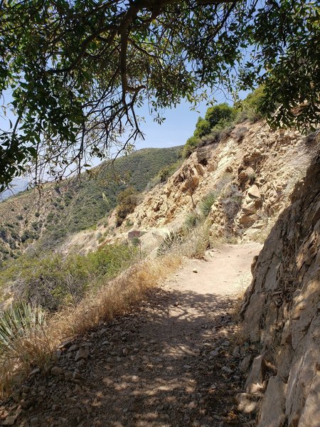 Heading up the switchbacks