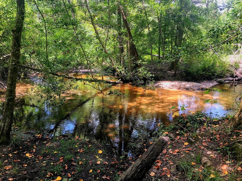 Access to Bear Creek with a bench next to it.