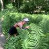 Investigating the large ferns growing along the Monkey Run Trail.