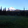 Elk meadow at dawn