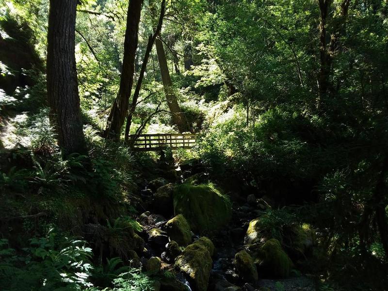 Redwood Nature Trail