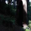 Redwood Nature Trail