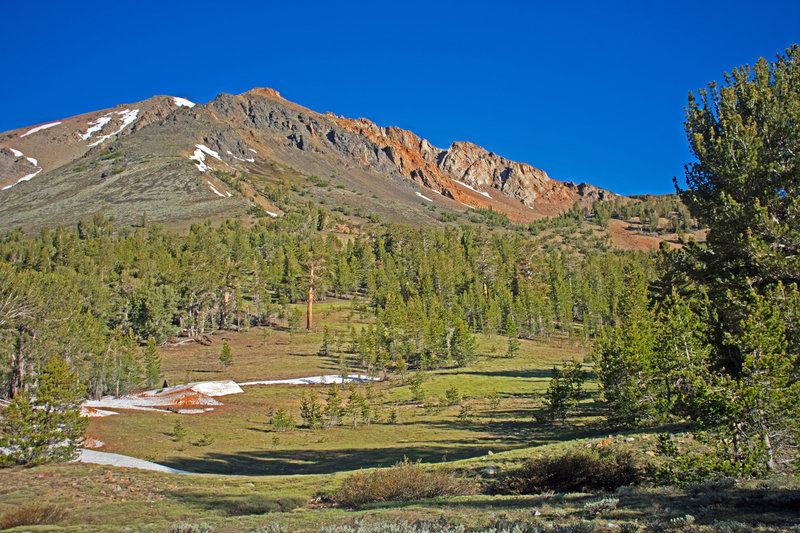 Meadows below Eagle Peak near campsite.