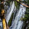 Burney Falls through the trees.