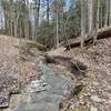 One of the many creek crossings on the Finger Lakes Trail.