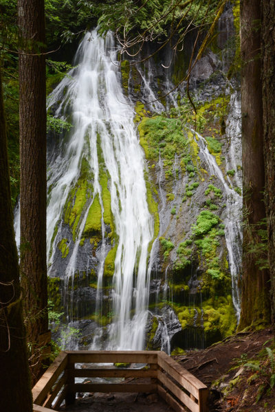 The lower viewing platform for Panther Creek Falls