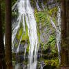 The lower viewing platform for Panther Creek Falls