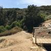 The Rivas Canyon trailhead at Will Rogers isn't obvious. Walk past the park office, tennis court, and bridge to go down the paved path straight ahead.