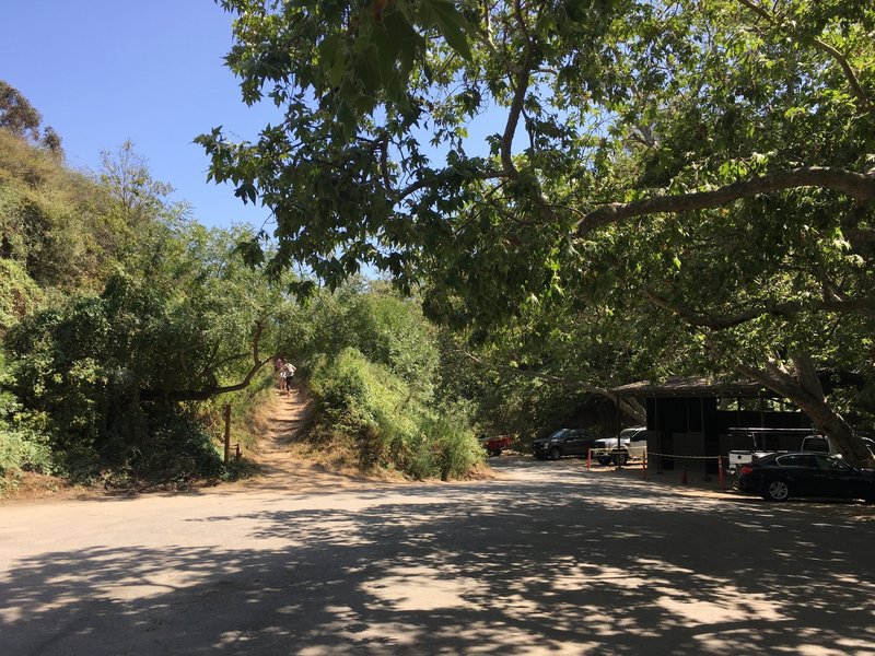 Crossing the cul-de-sac at Rivas Canyon Road