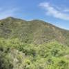 Looking to the east across Rivas Canyon