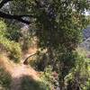 The Temescal Canyon end of Rivas Canyon trail