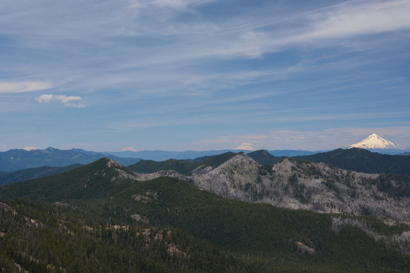 From left to right: Mount St Helens, Mount Rainier, Mount Adams, Mount Hood