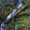 A small falls on Battle Ax Creek