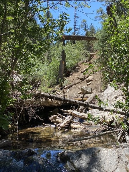 Small pool showing steep bank ascent in the background