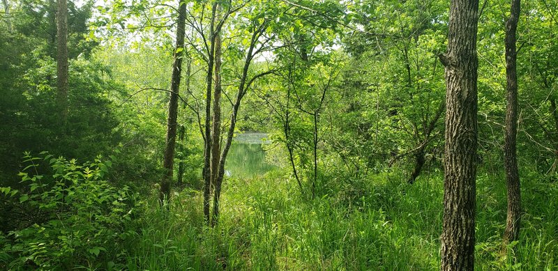 Beaver Spring Lake