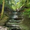 Dried waterfall on the eternal flame trail.