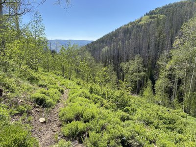 Best Hikes and Trails in Castle Dale